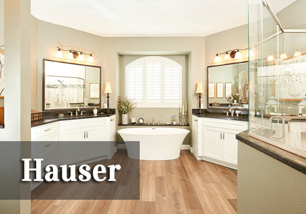 Hauser Bathroom   ♦   Waterloo, Illinois